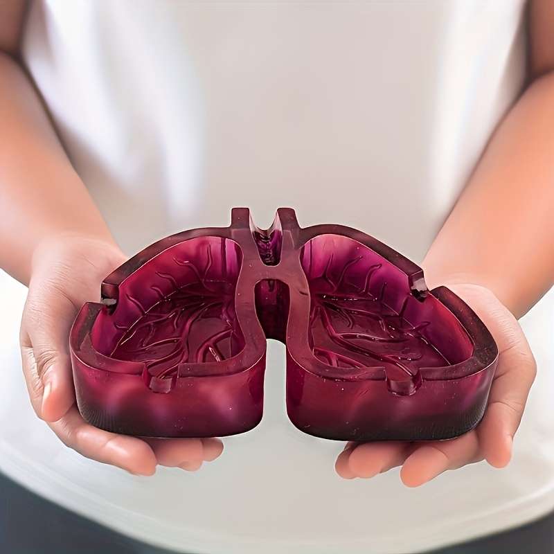 1pc Artistic Resin Ashtray with Lung Design Creative Home Office Decor Gift Unique Smoking