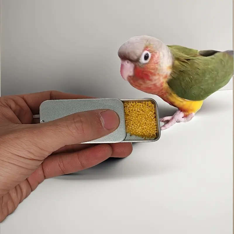 Bird Feeder