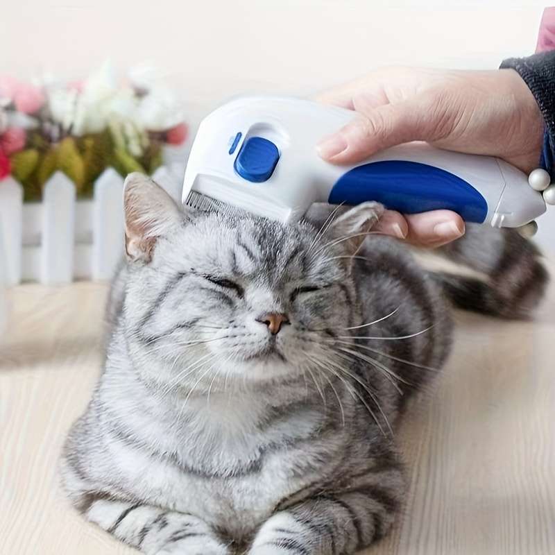 1pc Pet Comb