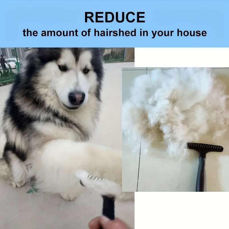 1Piece Pet Comb