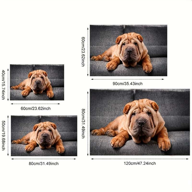 1Pc 5Ox8Ocm Floor Mat