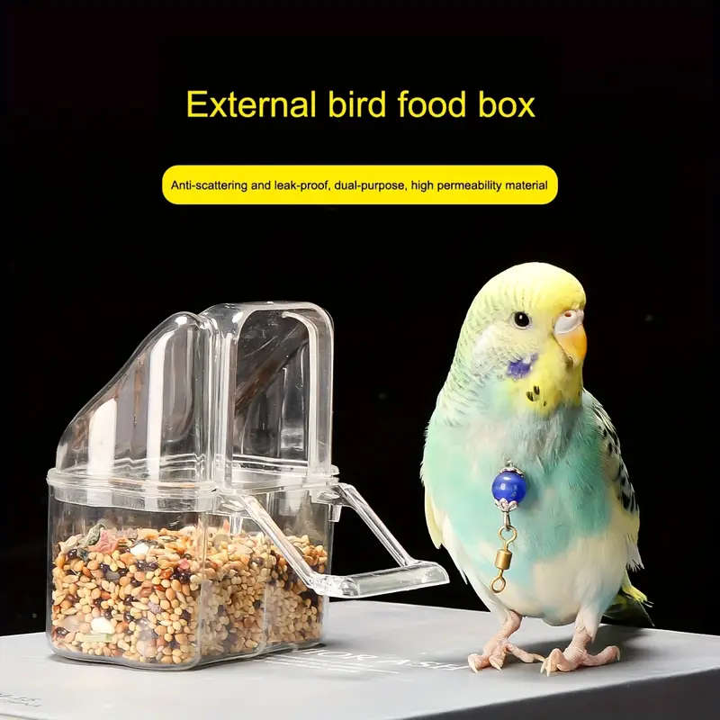 Small Bird Feeder