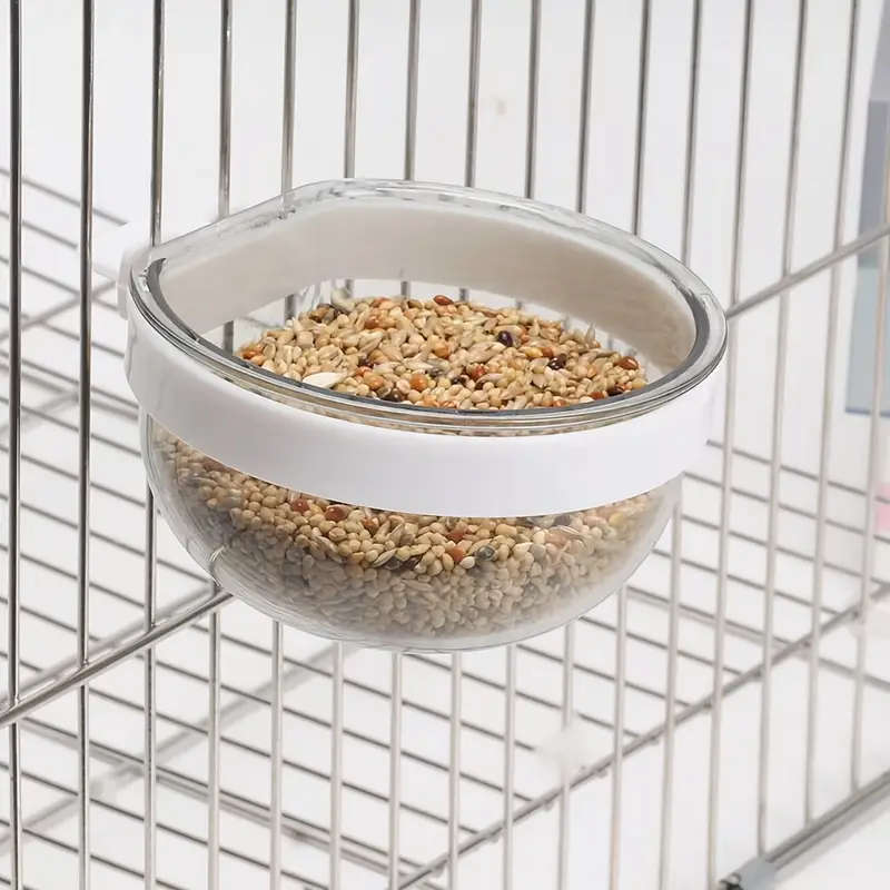 Bird Feeder