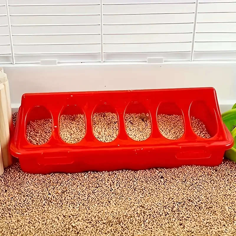 Quail Pigeon Feed Box