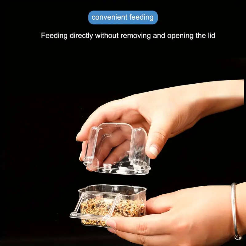 Small Bird Feeder