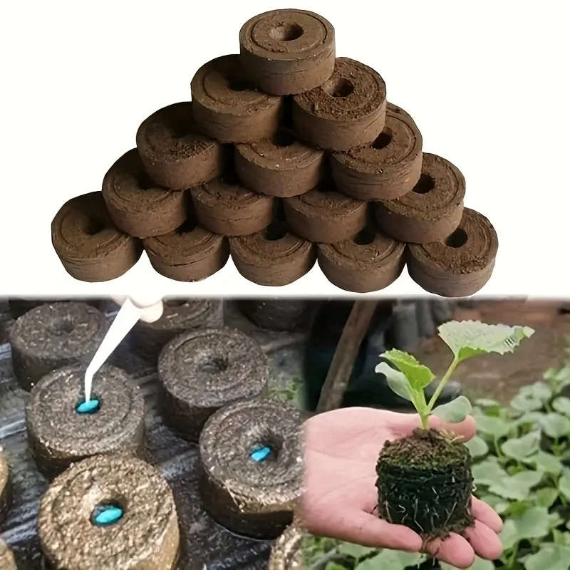Seed Moisturizer