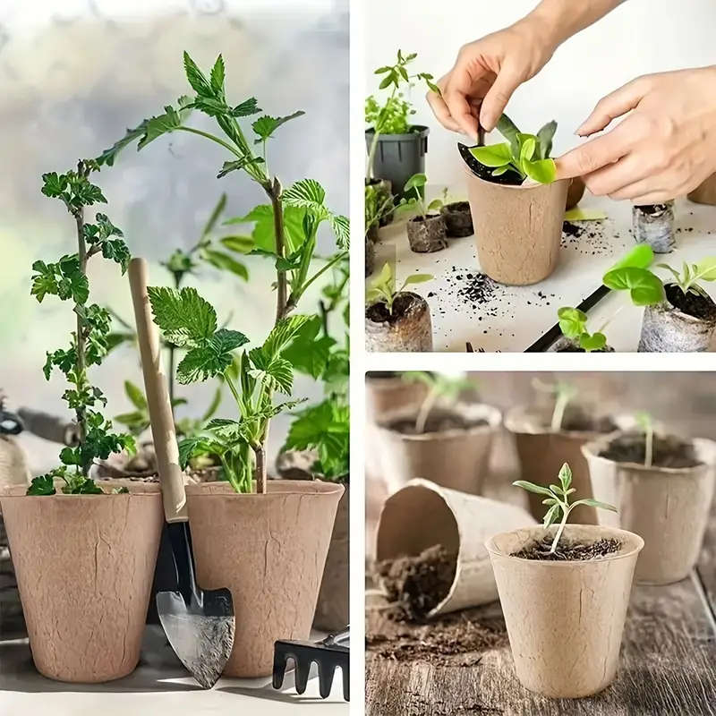 10pcs Small Flower Pots Paper Cups