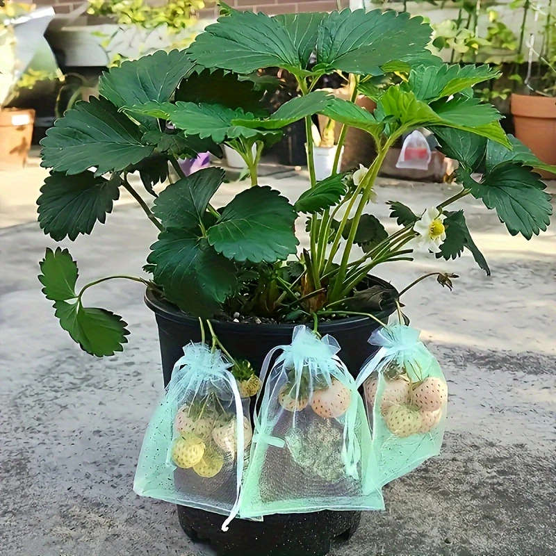 100 Breathable Fruit Protection Bags