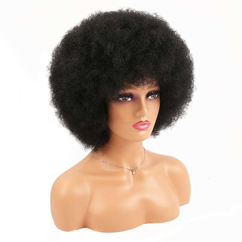 1Pc 27A 25.4cm Fashion Design Wig