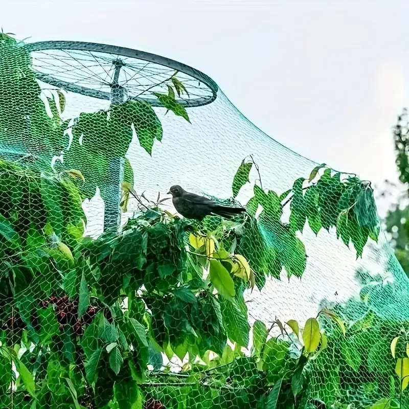 1pc 2x10m Garden Bird Netting Protects Vegetables Fruit Trees from Birds Deer Squirrels Safe