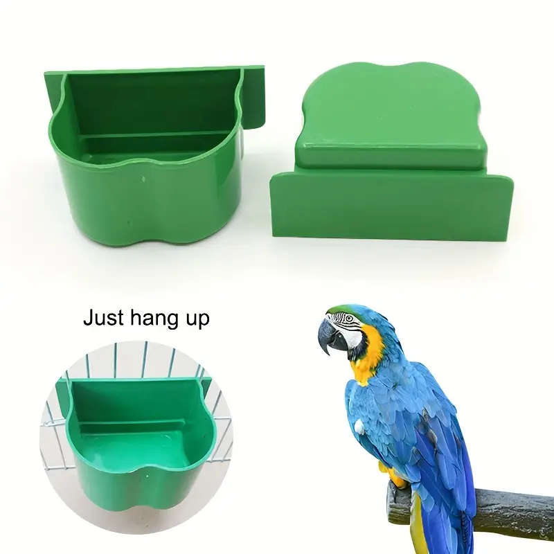Bird Feeder