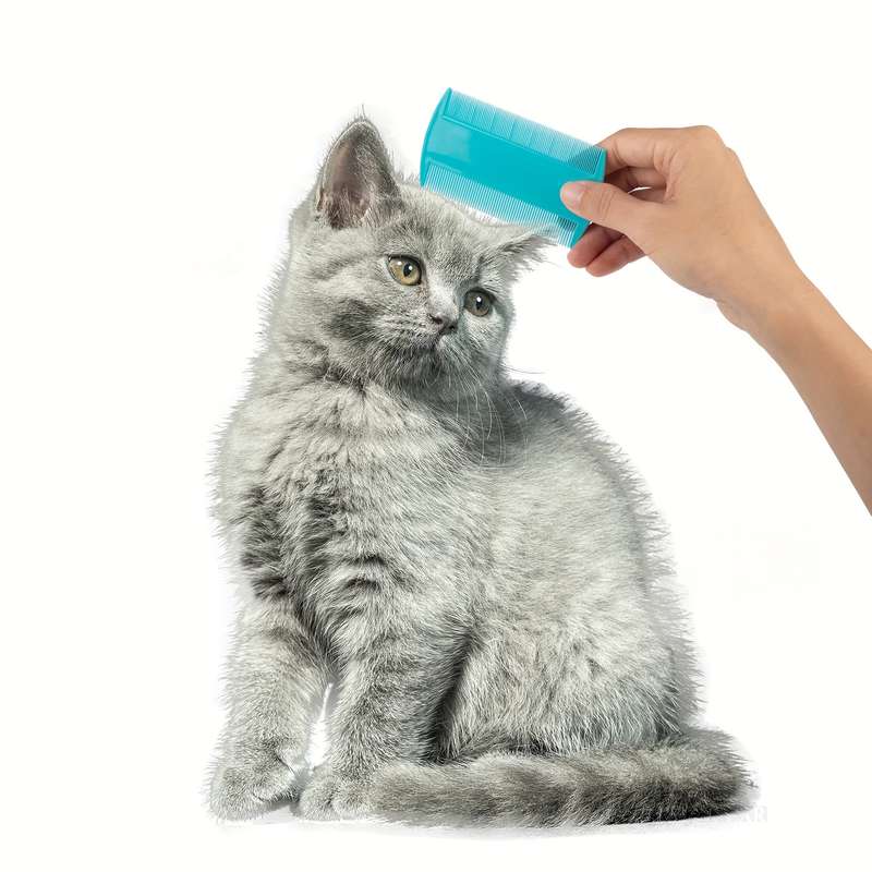 2pcs Random Color Pet Comb