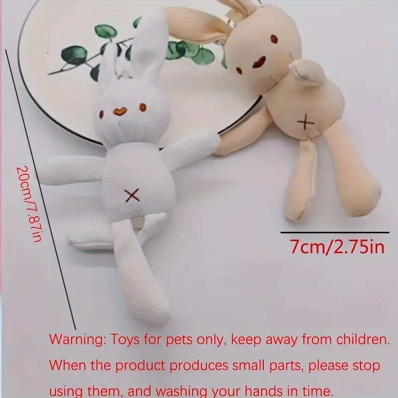 Dog Chew Toys