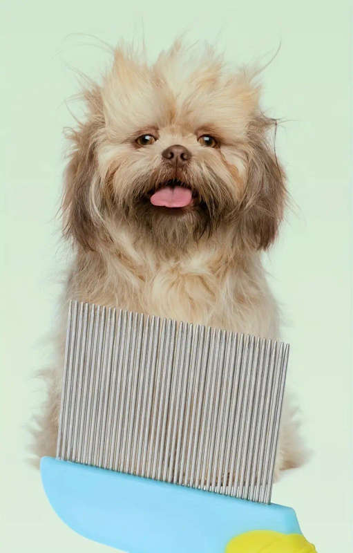 Pet Comb