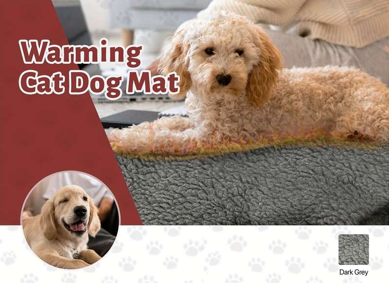 1PC Pet Mat Dark Gray Size 70x50CM 28x20IN