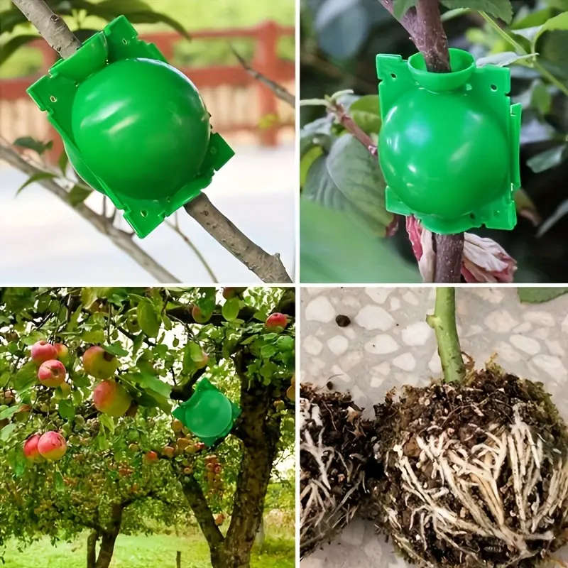 5Pcs Root Growth Boxes