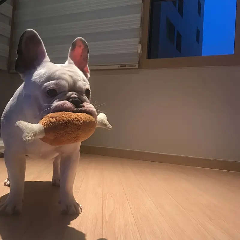 Pet Chew Toys