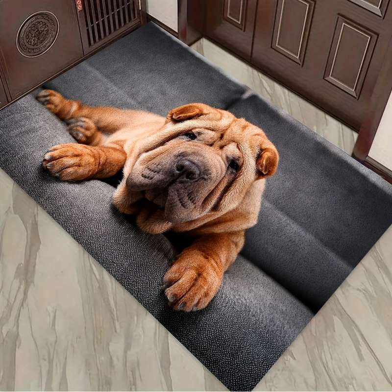 1Pc 5Ox8Ocm Floor Mat