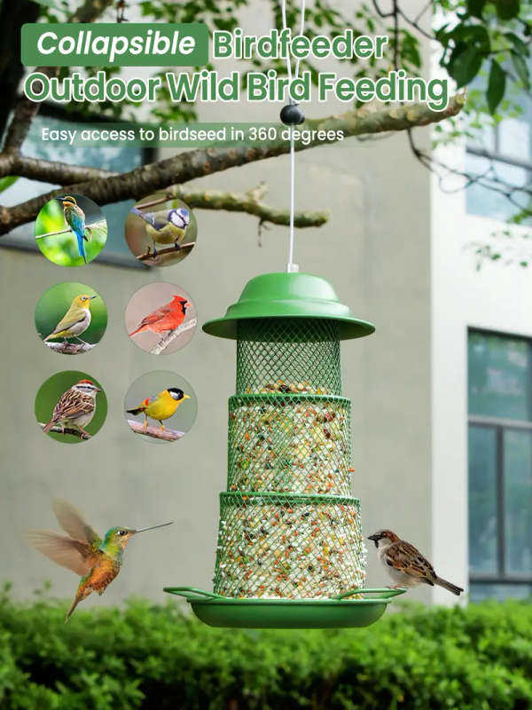 Small Bird Feeder