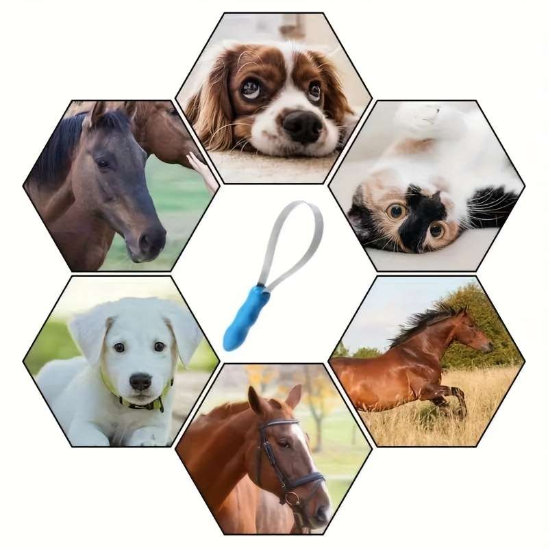 1pc Pet Comb