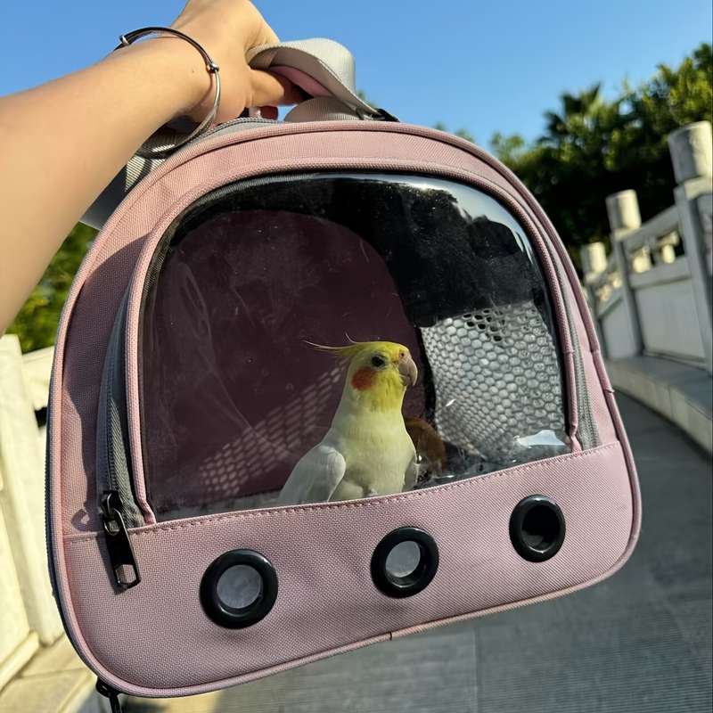 1pc PinkModel Large Size Pet Bag