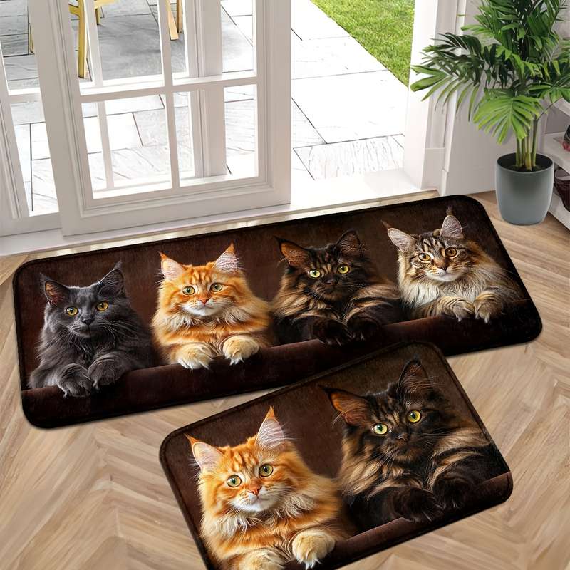 1Pc 45x75cm Floor Mat