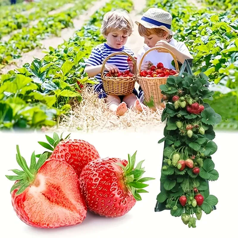 8Hole Hanging Strawberry Planting Bag