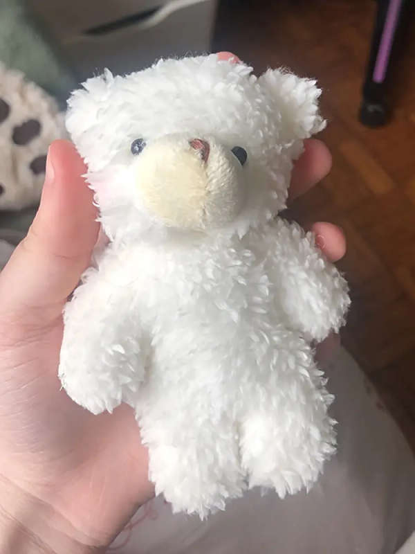 Dog Chew Toys