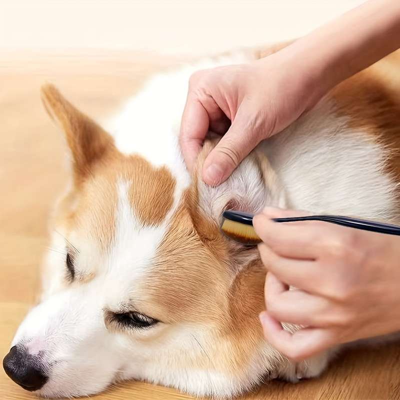 1pc Pink Pet Comb