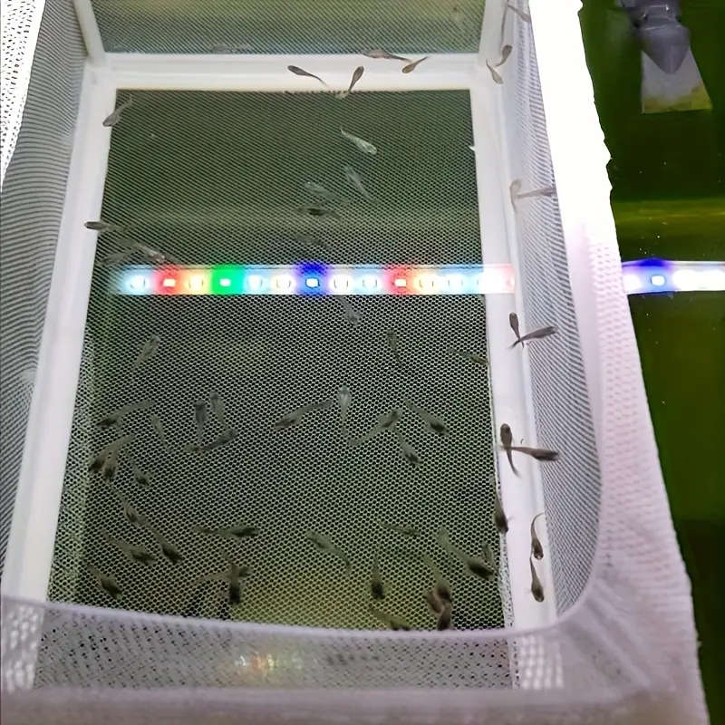 1 Square Transparent Fish Tank Isolator Box