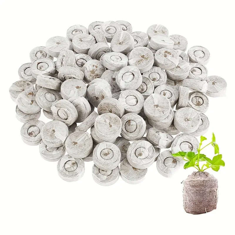 Seed Moisturizer