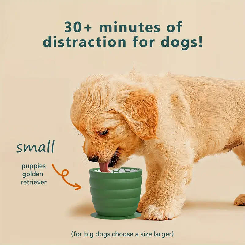 Dog Bowl