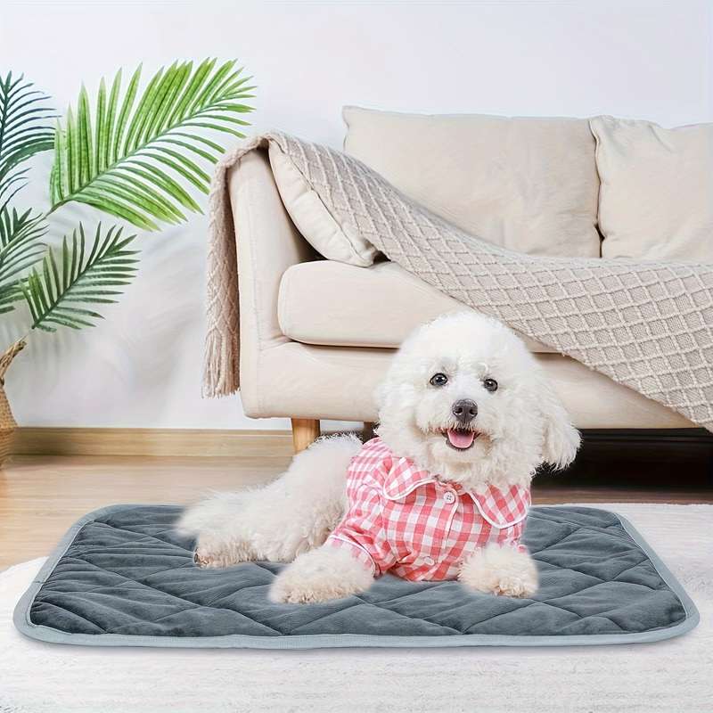 1PC Pet Mat Grey Size XL  114.3x71.12cm