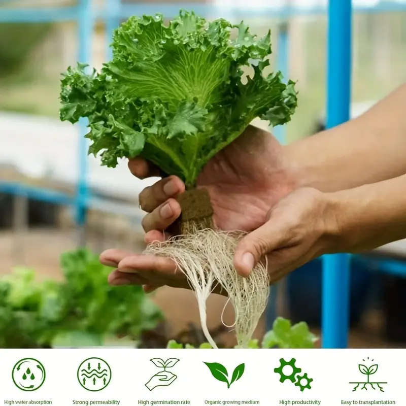 50 Hydroponic Seed Starter Blocks