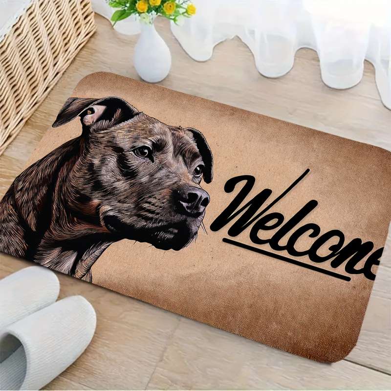 1Pc 19.69x31.49inch 50x80cm Floor Mat