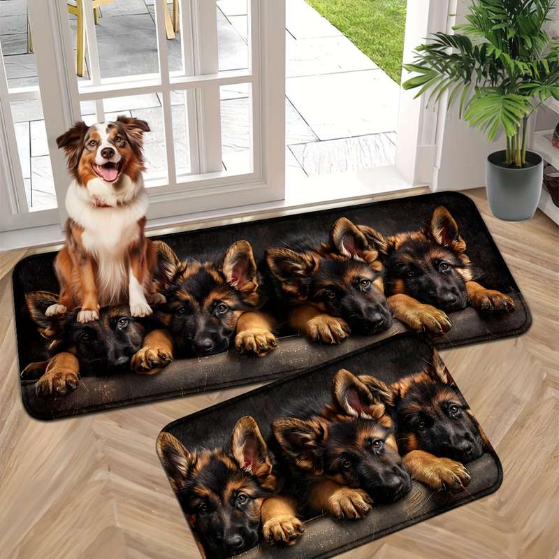 1Pc 45x75cm Floor Mat