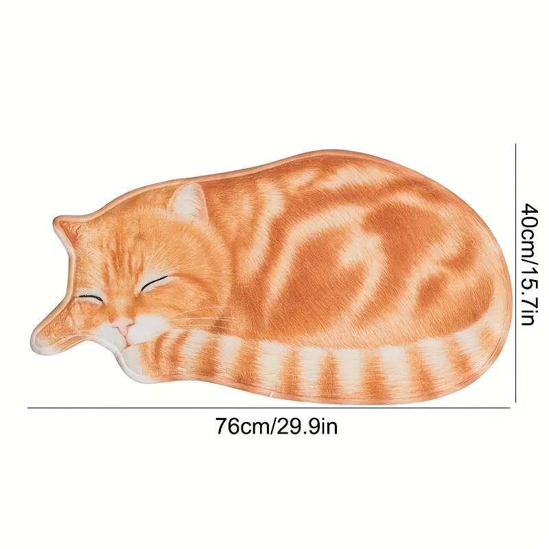 1Pc 40x76cm 15.75x30inch Floor Mat