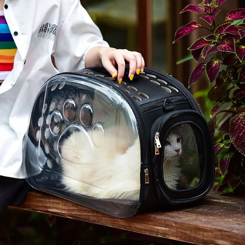 1pc BlackModel Large Pet Bag