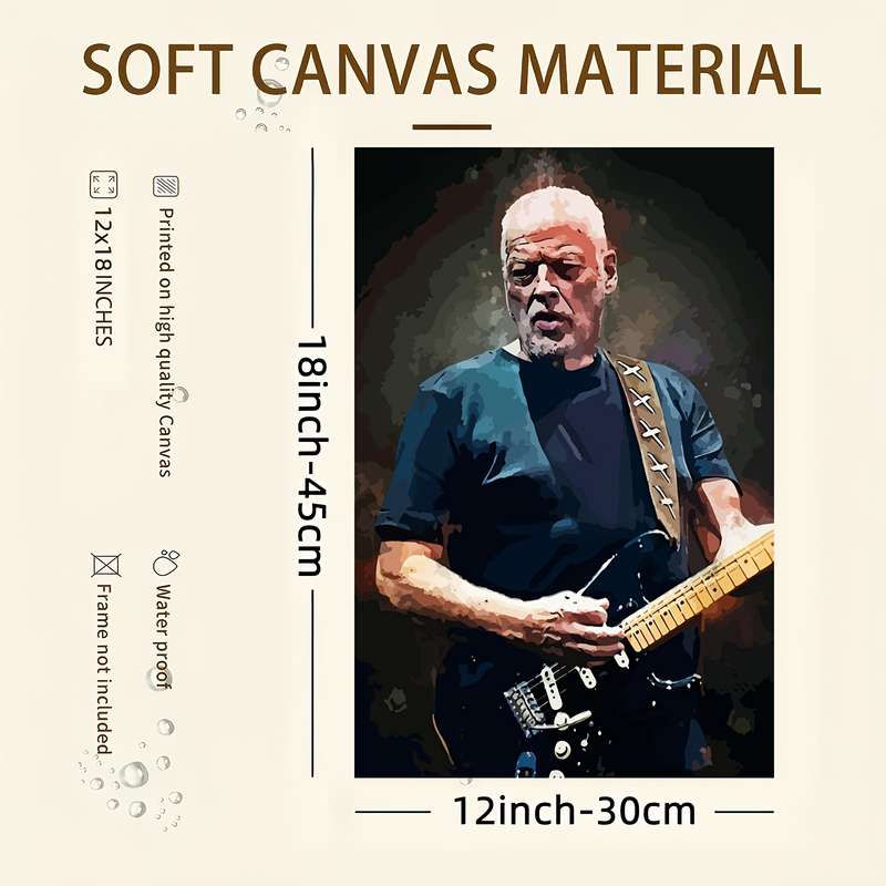 1pc 30.48x45.72 cm Frameless Modern Art Deco Canvas Wall Art David Jon Gilmour Rock Performance P