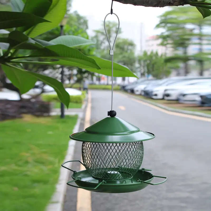 Small Bird Feeder