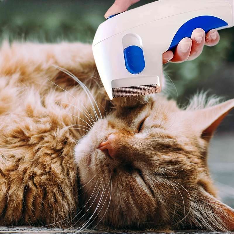 1pc White Pet Comb