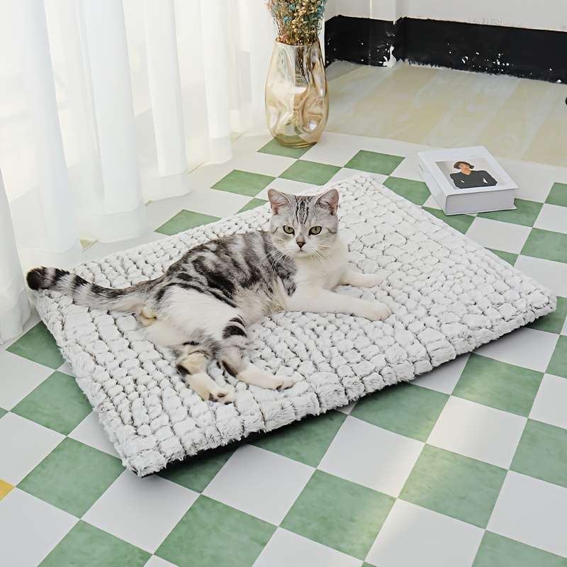 1PC Pet Mat Modern