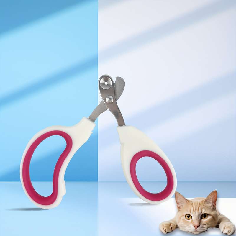 2pcS Set Random Color Pet Comb