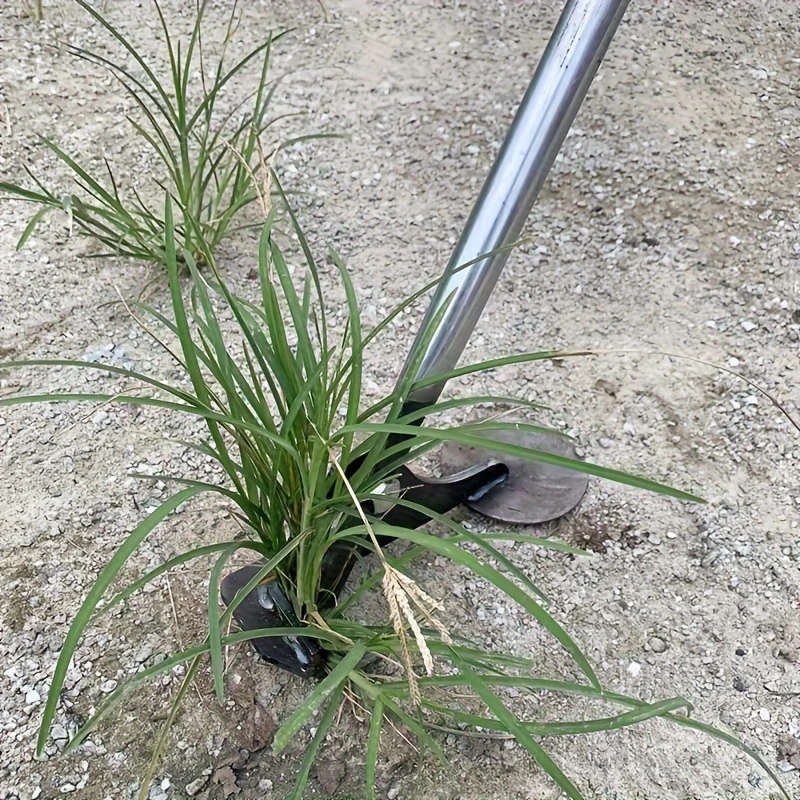 Weeding Tools