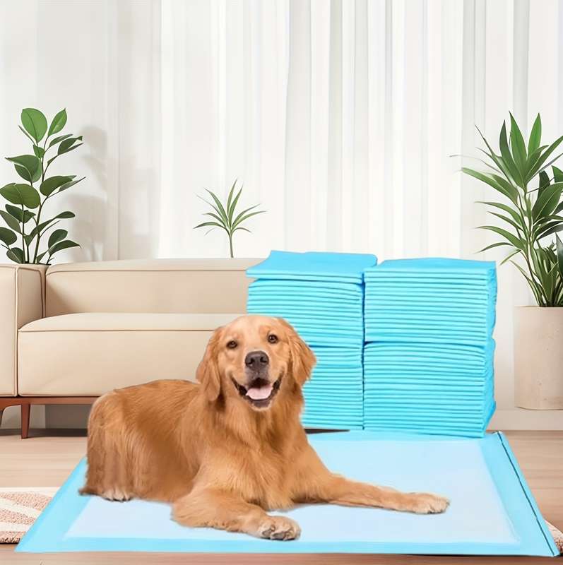 20Pcs Diaper Thickened Blue