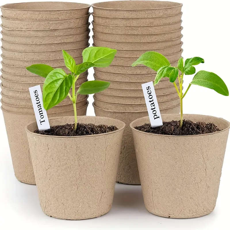 10pcs Small Flower Pots Paper Cups