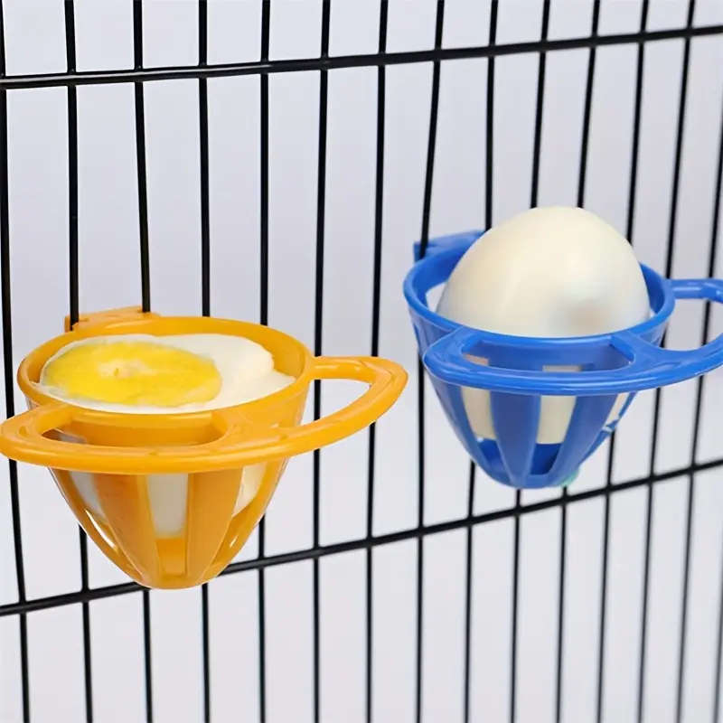 Bird Feeder