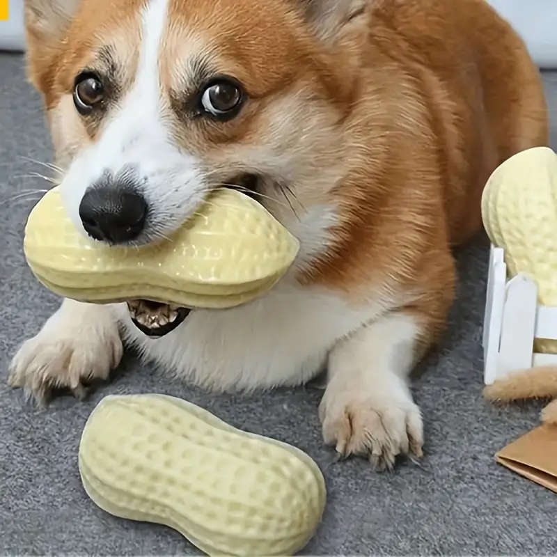 Dog Chew Toys