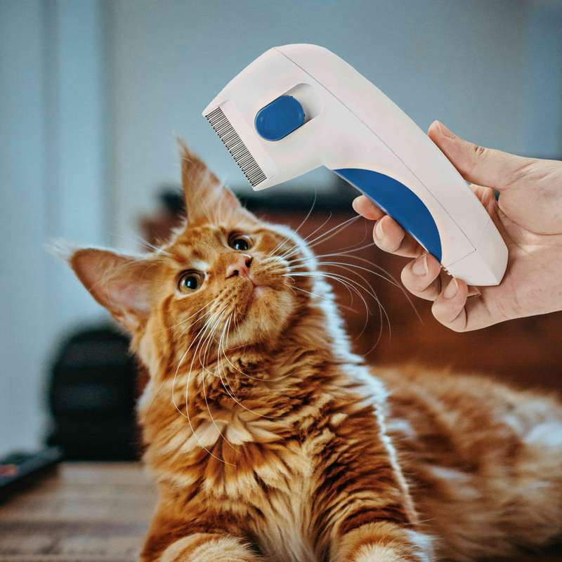 1pc White Pet Comb