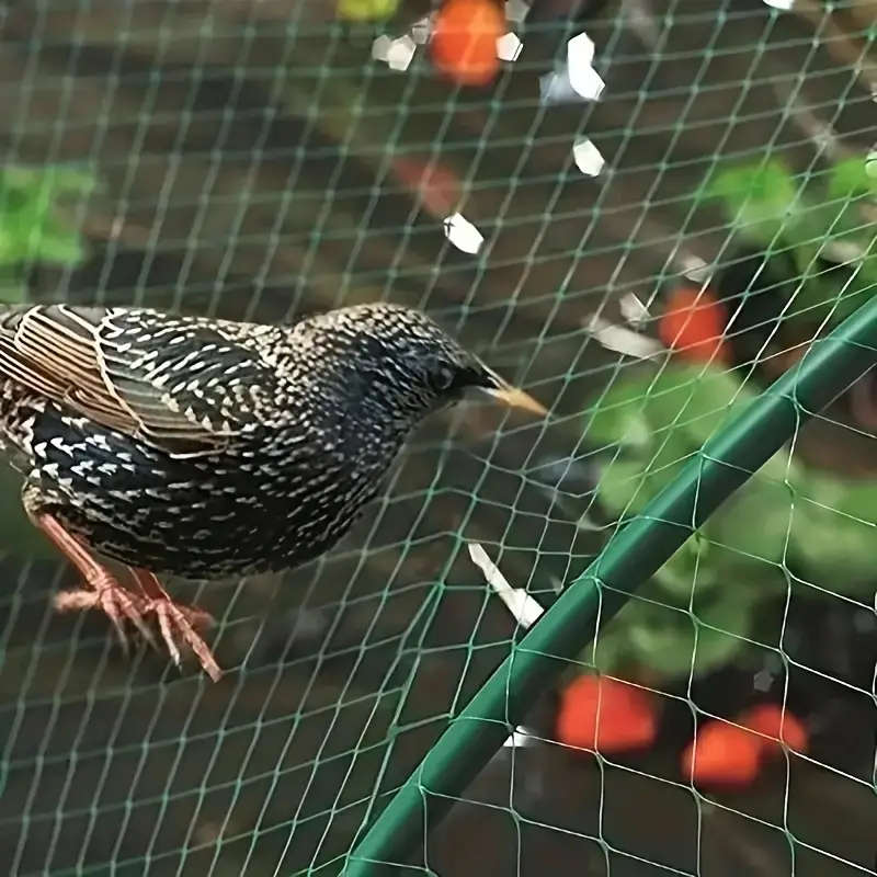 1pc 2x10m Garden Bird Netting Protects Vegetables Fruit Trees from Birds Deer Squirrels Safe